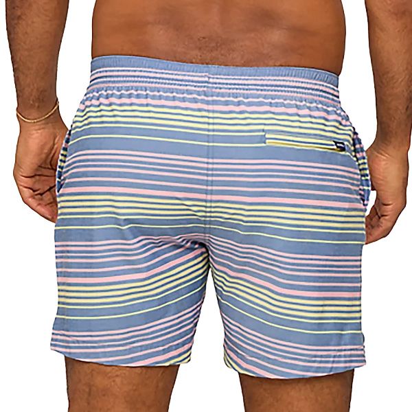 Men's Chubbies The Blossom Bands 5.5" Classic Swim Trunk