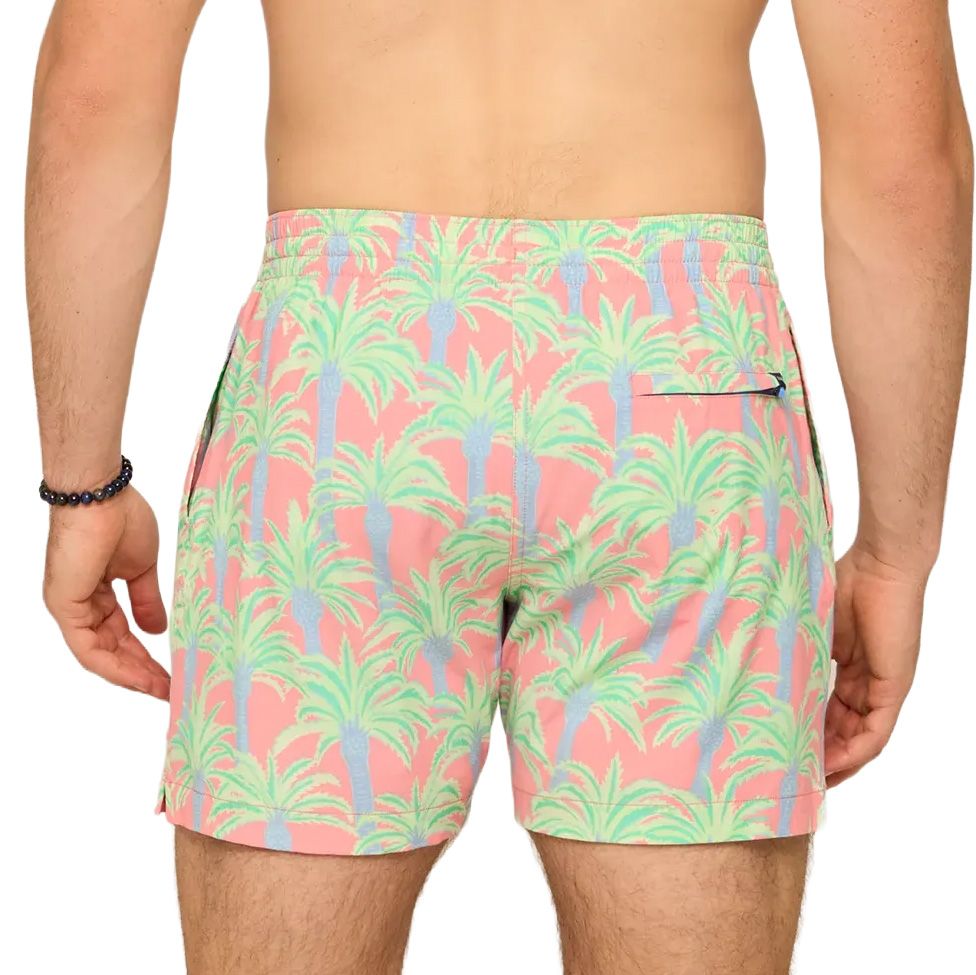 Men's Chubbies The Easy Breezys 5.5" Lined Classic Swim Trunk