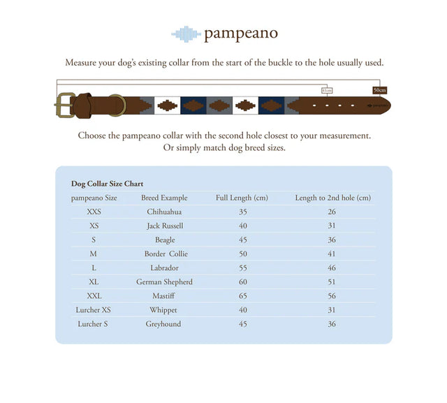 Adult Pampeano Belt - 'Cincha'