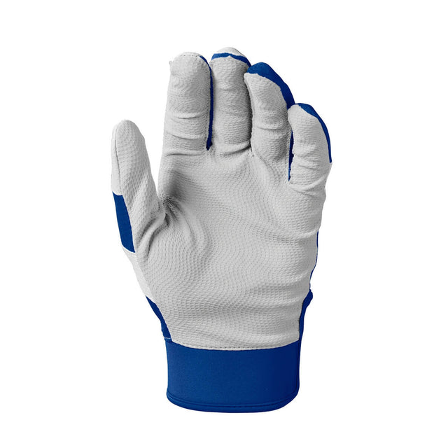 Youth Evoshield SRZ-1 Batting Gloves