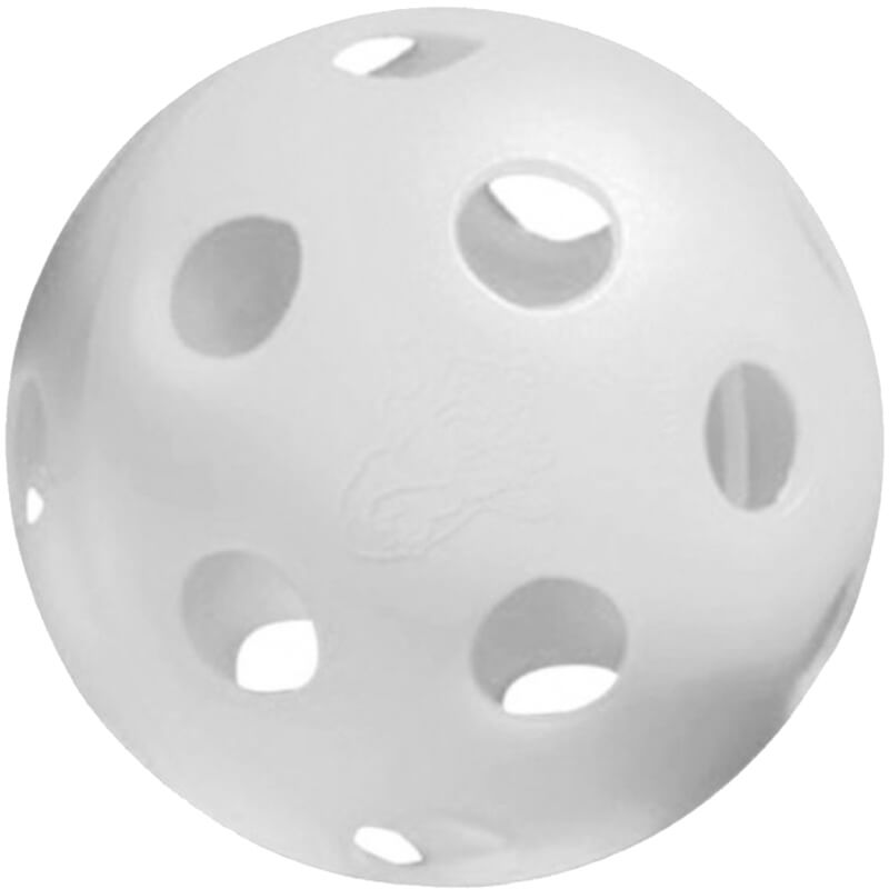 Prolite Jugs Indoor Pickleball