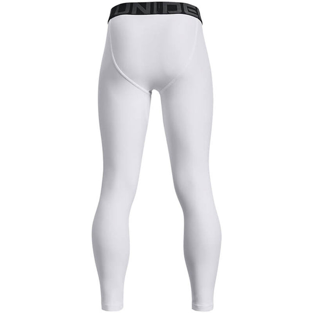 Youth Under Armour HeatGear Leggings