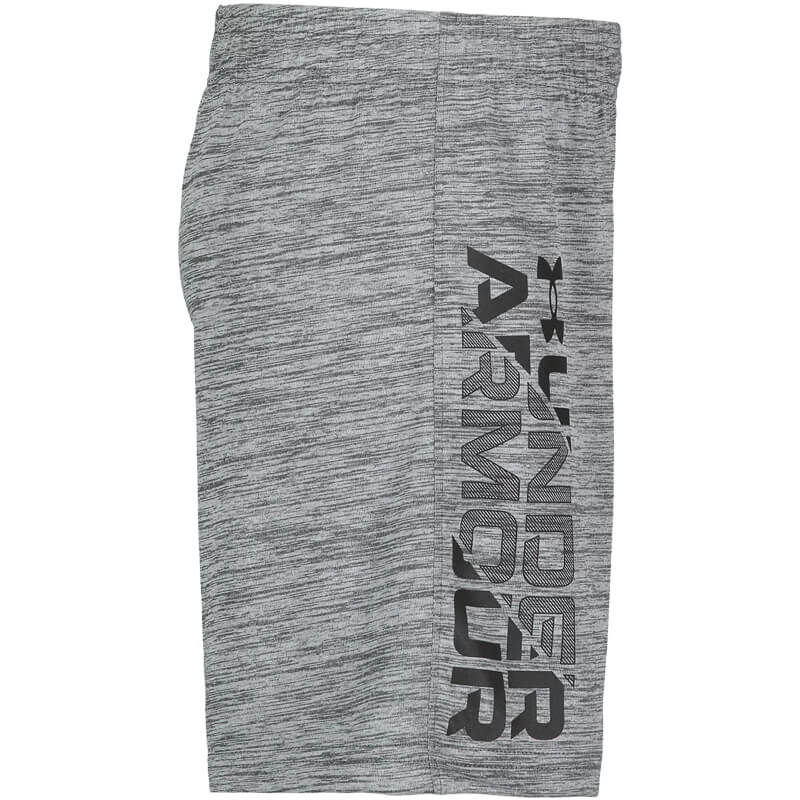 Toddler Under Armour Prototype Wordmark Shorts