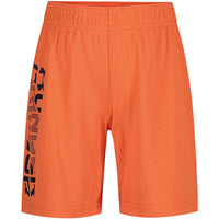 Infant Under Armour Prototype Wordmark Shorts