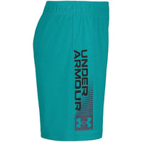 Toddler Under Armour Wordmark Shorts