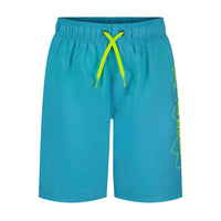 Youth Boys' Under Armour DWR Print Swim Short