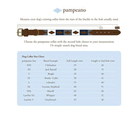 Adult Pampeano Belt - 'Confianza'