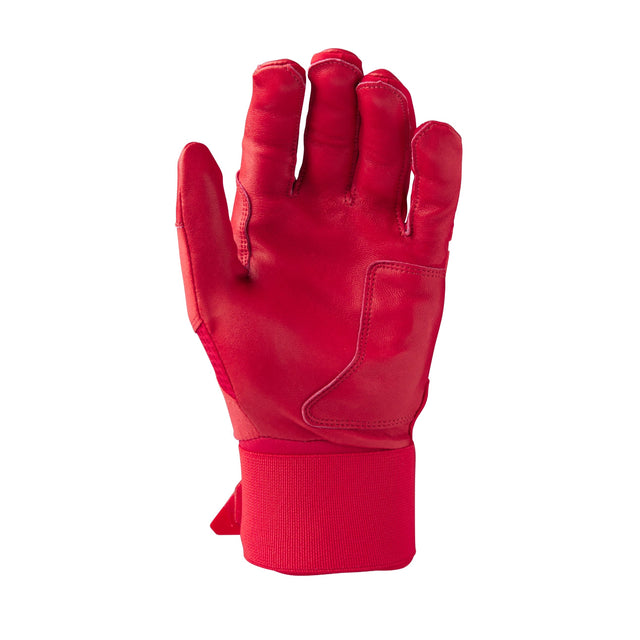 Adult Evoshield Carbyne Batting Gloves