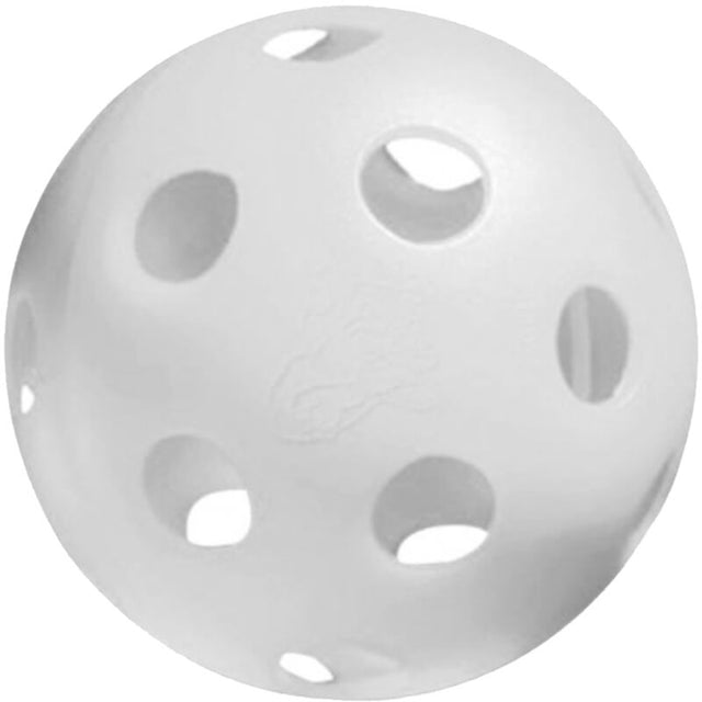 Prolite Jugs Indoor Pickleball