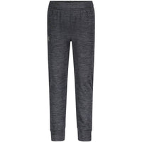 Toddler Under Armour Everyday Twist Joggers